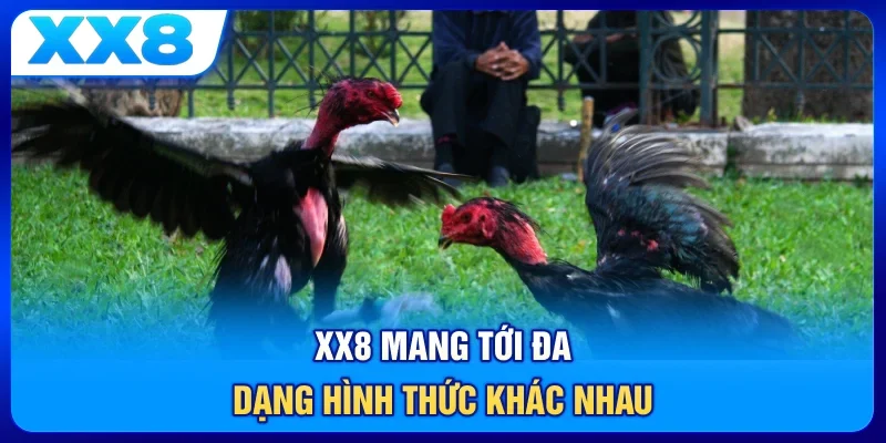 XX8 mang tới đa dạng hình thức khác nhau